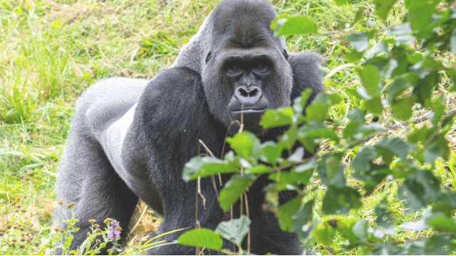 Greentec Newsletter (1)